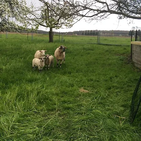 Πανσιόν Gastehaus Schirner 3*